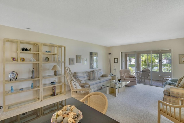 724 Nantucket Cir Unit A, Lake Worth, FL 33467 - view of carpeted living room