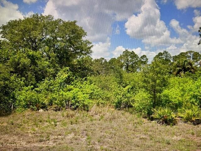 8013 Buttercup Cir, Labelle, FL 33935