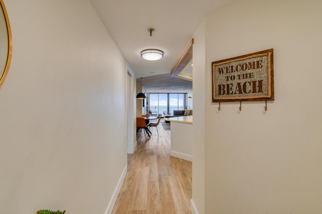 9650 S Ocean Dr Unit 1604, Jensen Beach, FL 34957 - hall with light wood-type flooring and baseboards