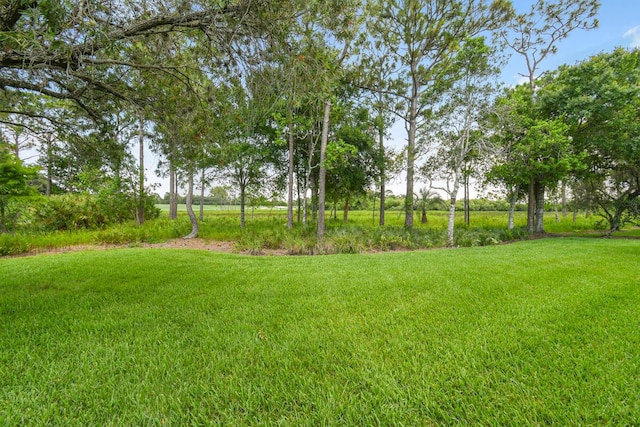 13312 NW Maplewood Rd, Palm City, FL 34990 - view of green lawn