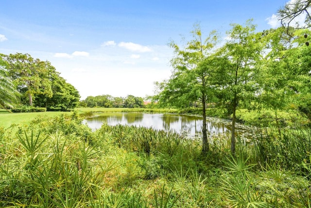 13312 NW Maplewood Rd, Palm City, FL 34990 - water view