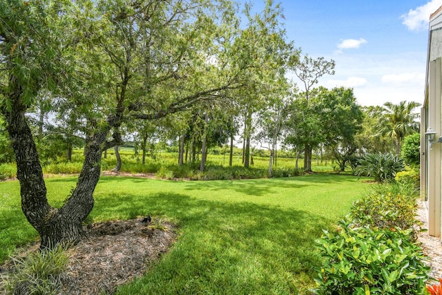 13312 NW Maplewood Rd, Palm City, FL 34990 - view of grassy yard
