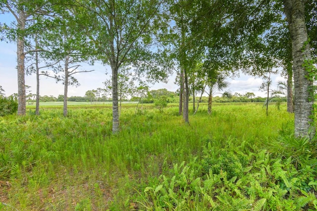 13312 NW Maplewood Rd, Palm City, FL 34990 - view of nature featuring rural landscape