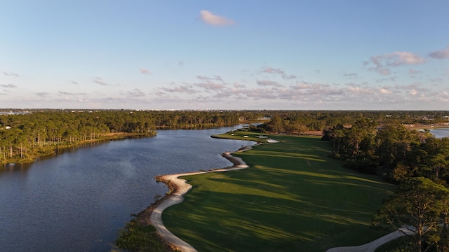 13312 NW Maplewood Rd, Palm City, FL 34990 - view of property location featuring a large body of water and a heavily wooded area