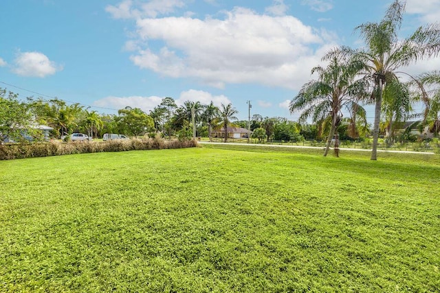 17331 38th Rd N, Loxahatchee, FL 33470 - view of green lawn