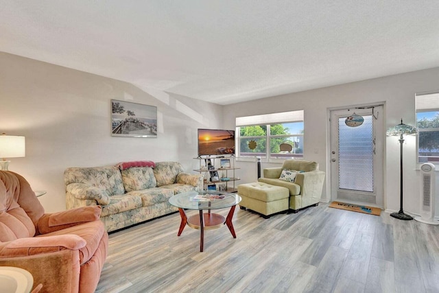 212 Somerset K, West Palm Beach, FL 33417 - living room featuring wood finished floors and plenty of natural light