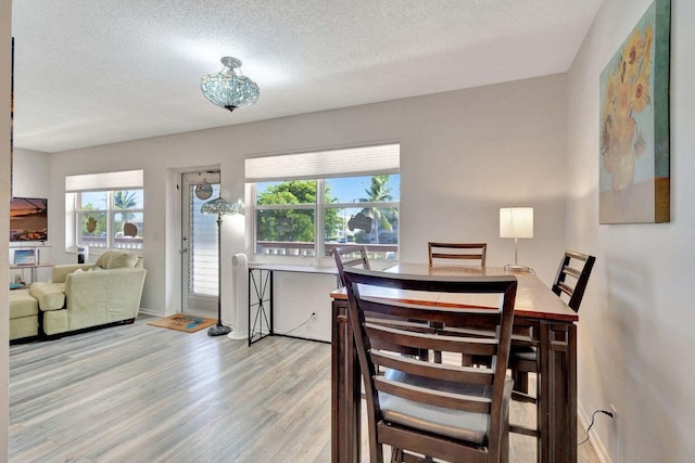 212 Somerset K, West Palm Beach, FL 33417 - dining room with light wood finished floors, plenty of natural light, a textured ceiling, and baseboards
