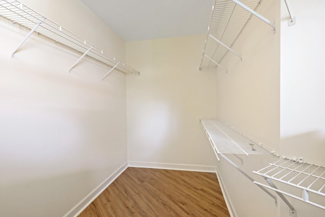 2365 55th Sq, Vero Beach, FL 32966 - walk in closet with wood finished floors