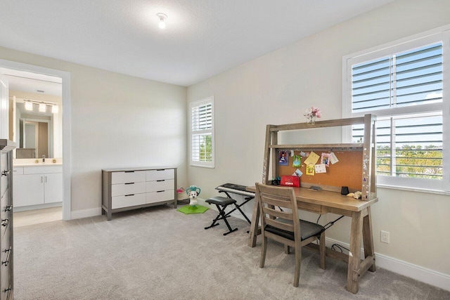 983 Hookline Cir, The Acreage, FL 33470 - office space with light carpet, baseboards, and a sink