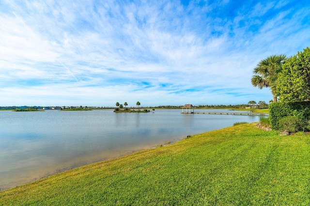 983 Hookline Cir, The Acreage, FL 33470 - water view
