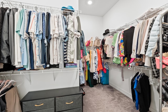 10803 Stellar Cir, Palm Beach Gardens, FL 33412 - spacious closet with carpet