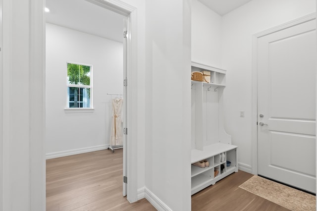 10803 Stellar Cir, Palm Beach Gardens, FL 33412 - mudroom with light wood finished floors and baseboards