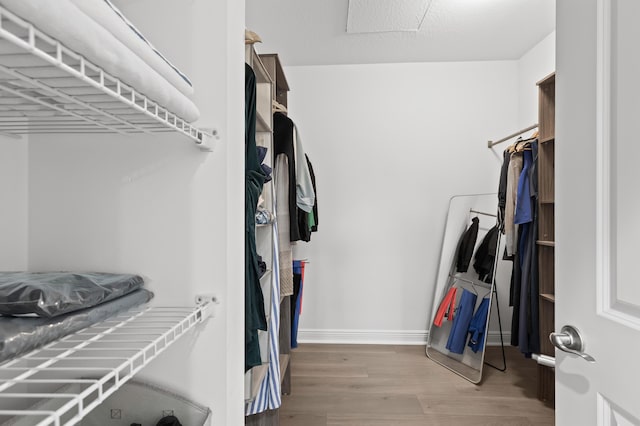 587 Sanderling Cir, Deerfield Beach, FL 33442 - spacious closet with light wood-style floors