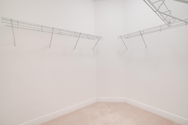 24038 SW Firenze Way, Port Saint Lucie, FL 34986 - walk in closet featuring light colored carpet