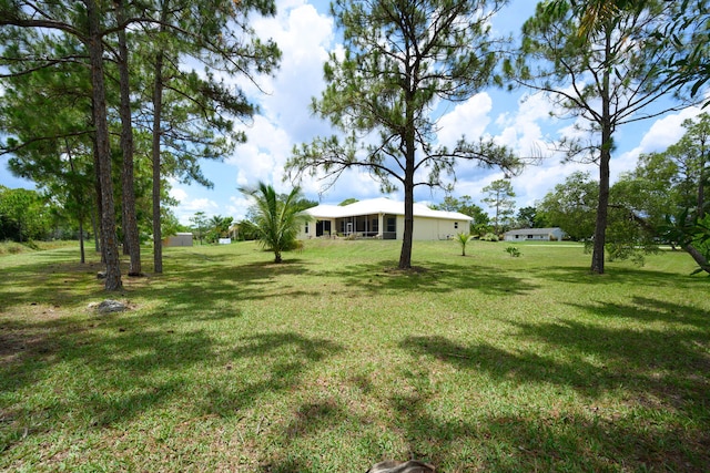 17560 72nd Rd N, The Acreage, FL 33470 - view of grassy yard