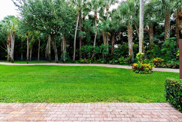 2812 Eagle Rock Cir Unit 902, West Palm Beach, FL 33411 - view of grassy yard