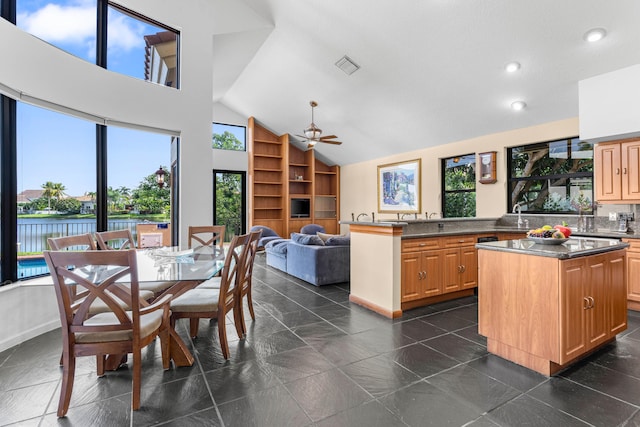 3049 NW 61st St, Boca Raton, FL 33496 - kitchen with built in shelves, vaulted ceiling, a center island, plenty of natural light, and a ceiling fan