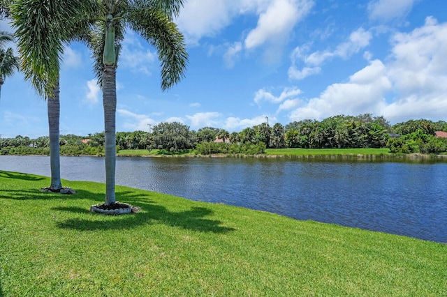 6845 Big Cypress Dr, Jupiter, FL 33458 - water view
