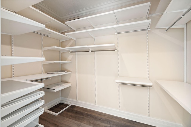 4700 Sanctuary Ln, Boca Raton, FL 33431 - spacious closet with wood finished floors