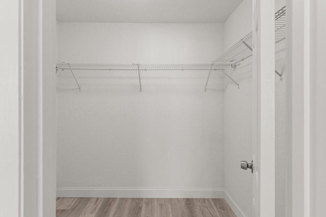 798 SE Atlantus Ave, Port Saint Lucie, FL 34983 - spacious closet featuring light wood-type flooring