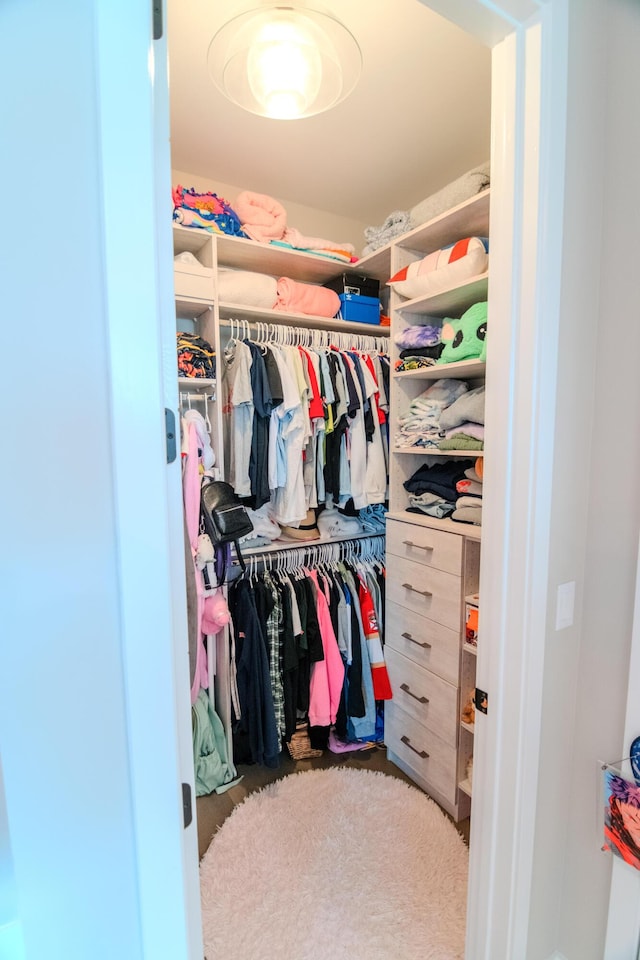 8305 Fishhawk Falls Ct, Boca Raton, FL 33496 - view of walk in closet