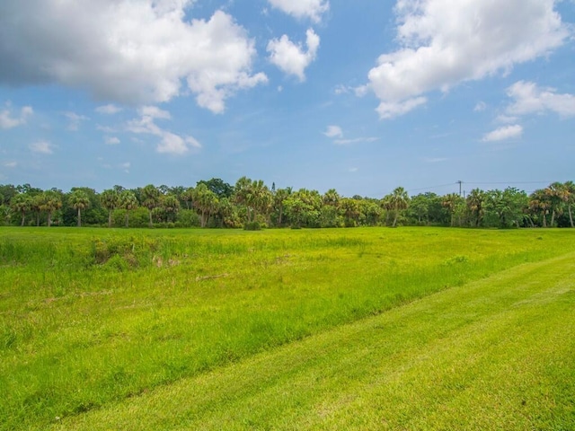 2536 Creekside Dr, Fort Pierce, FL 34981 - view of tree filled area with a rural view
