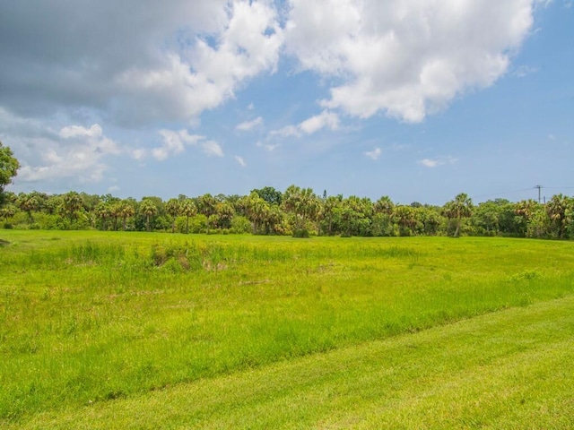 2536 Creekside Dr, Fort Pierce, FL 34981 - view of woods with a rural view