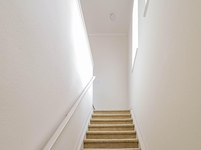 2536 57th Cir, Vero Beach, FL 32966 - staircase with ornamental molding