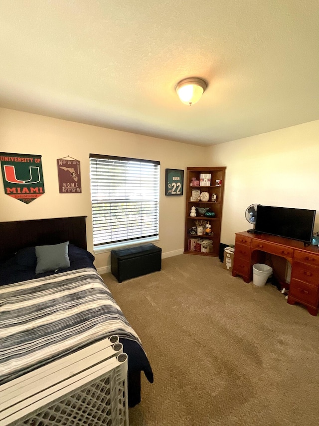 1206 SW Bargello Ave SW, Port Saint Lucie, FL 34953 - carpeted bedroom with baseboards