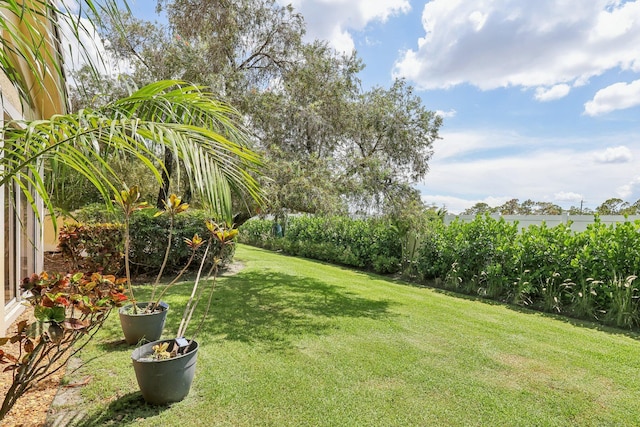 13853 Palm Grove Pl, West Palm Beach, FL 33418 - view of grassy yard