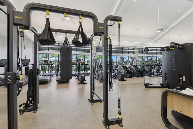 13853 Palm Grove Pl, West Palm Beach, FL 33418 - workout area with healthy amount of natural light and ceiling fan