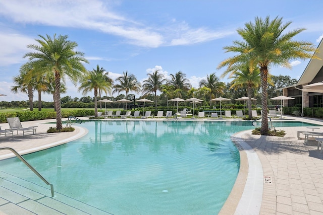 13853 Palm Grove Pl, West Palm Beach, FL 33418 - community pool featuring a patio area