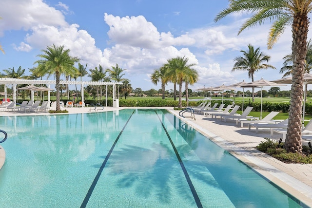 13853 Palm Grove Pl, West Palm Beach, FL 33418 - community pool with a pergola and a patio area