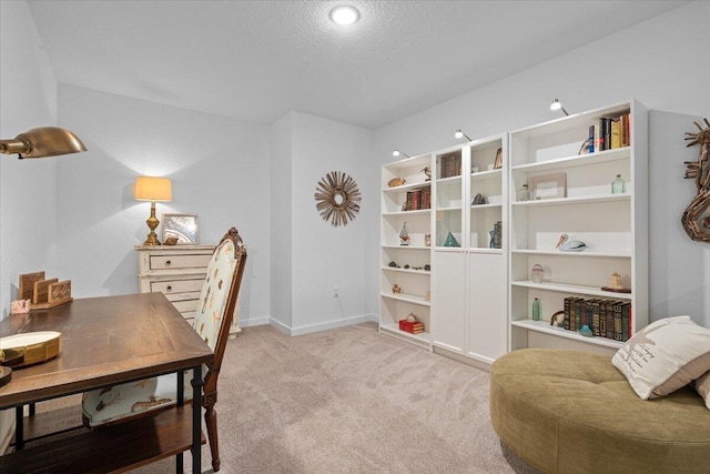821 NE Trailside Run, Port Saint Lucie, FL 34983 - office area with light carpet, baseboards, and a textured ceiling