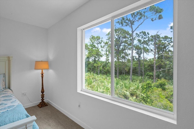 821 NE Trailside Run, Port Saint Lucie, FL 34983 - bedroom with carpet and baseboards