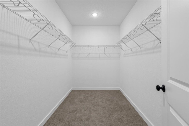 821 NE Trailside Run, Port Saint Lucie, FL 34983 - walk in closet featuring dark carpet