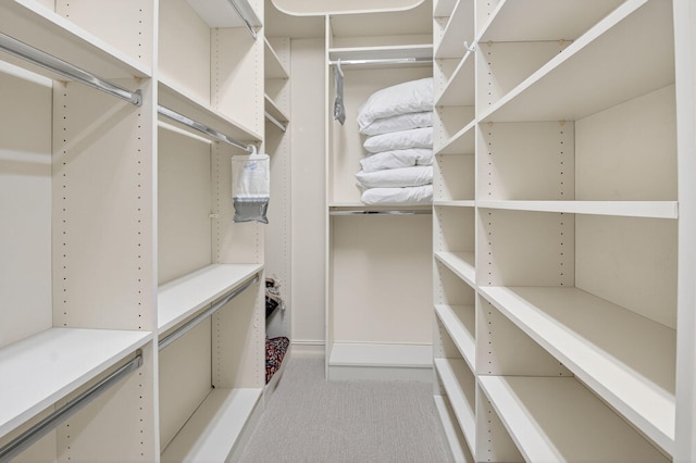 7030 Boscanni Dr Unit 7030, Boynton Beach, FL 33437 - spacious closet with carpet flooring