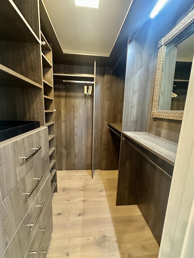 3 Colonial Club Dr Unit 104, Boynton Beach, FL 33435 - walk in closet with light wood-type flooring