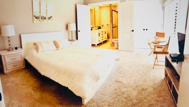 1714 17th Ct, Jupiter, FL 33477 - bedroom featuring carpet