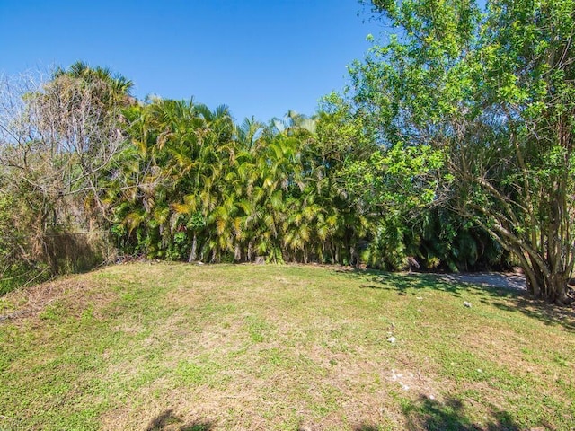 526 NW Kingston St, Port Saint Lucie, FL 34983 - view of yard