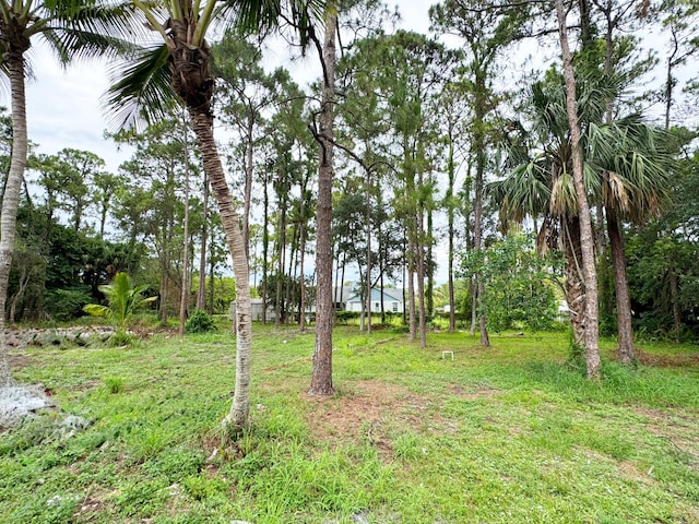 15809 85th Rd N, The Acreage, FL 33470 - view of yard