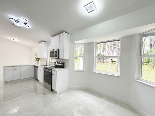 15809 85th Rd N, The Acreage, FL 33470 - kitchen with appliances with stainless steel finishes, a sink, light countertops, and plenty of natural light
