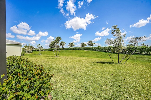 5452 Macoon Way, Westlake, FL 33470 - view of grassy yard