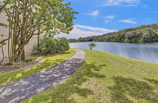 2768 Carambola Cir S Unit 301, Coconut Creek, FL 33066 - water view featuring a forest