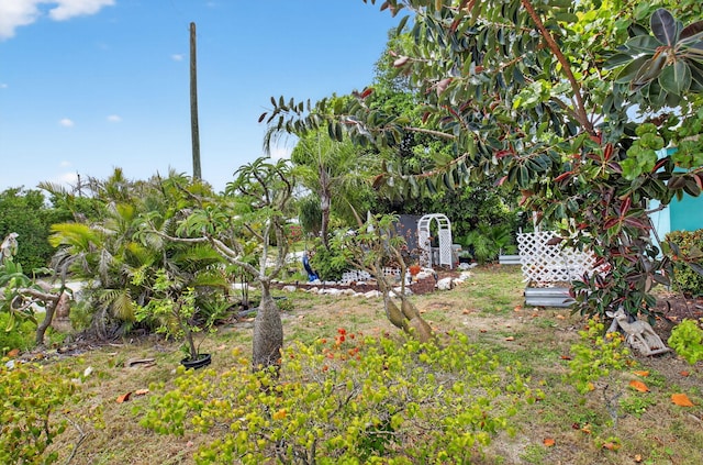 1115 S Seacrest Blvd, Boynton Beach, FL 33435 - view of yard