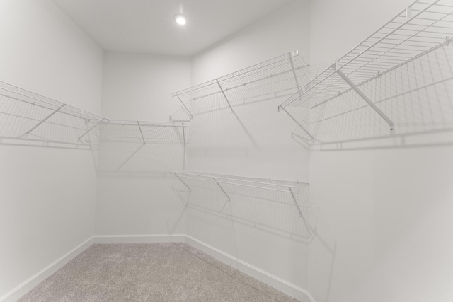 14483 SW Woodford Way, Port Saint Lucie, FL 34987 - walk in closet with carpet
