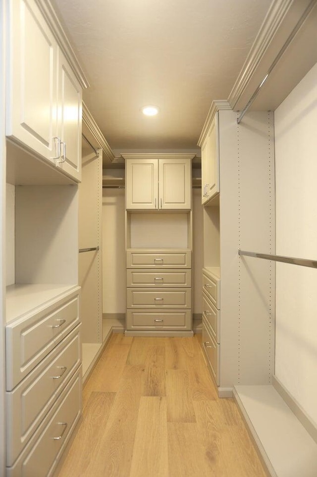 2407 SW 23rd Cranbrook Dr, Boynton Beach, FL 33436 - walk in closet with light wood-type flooring