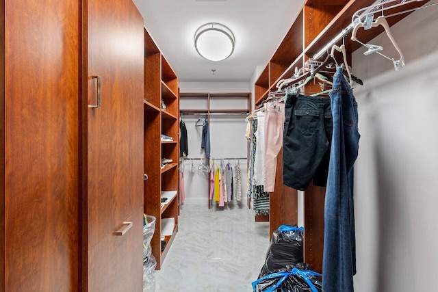 7578 Regency Lake Dr Unit 802, Boca Raton, FL 33433 - view of walk in closet