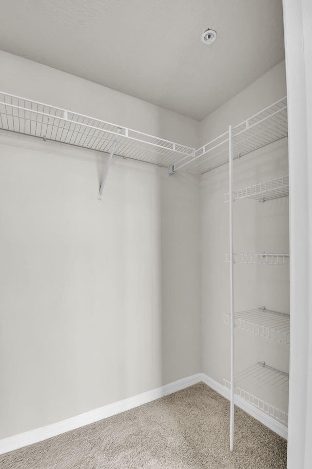 15185 Michelangelo Blvd Unit 204, Delray Beach, FL 33446 - walk in closet featuring carpet floors