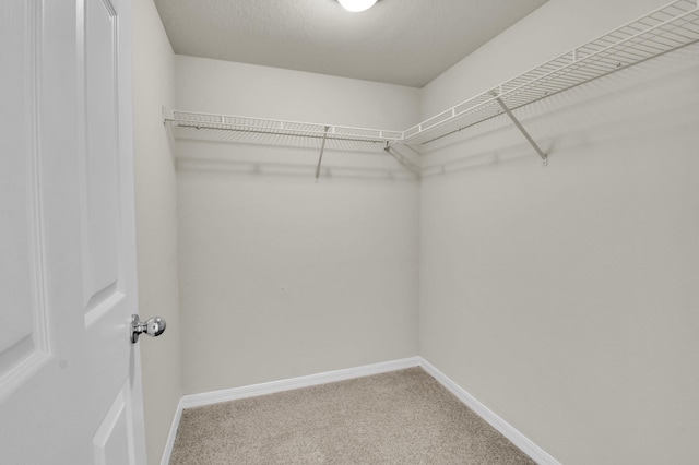 15185 Michelangelo Blvd Unit 204, Delray Beach, FL 33446 - walk in closet with carpet floors
